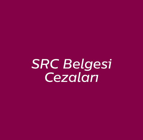 SRC Belgesi Cezalar